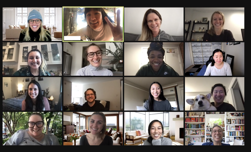 Zoom team screenshot